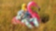 Ingo Ohne Flamingo